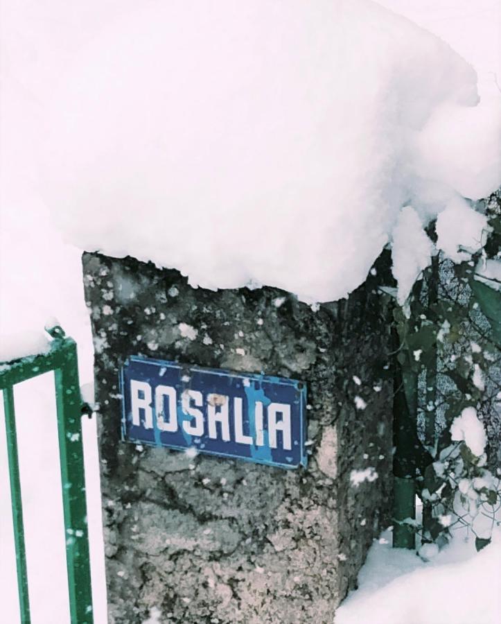 Villa Rosalia Вільянуа Екстер'єр фото